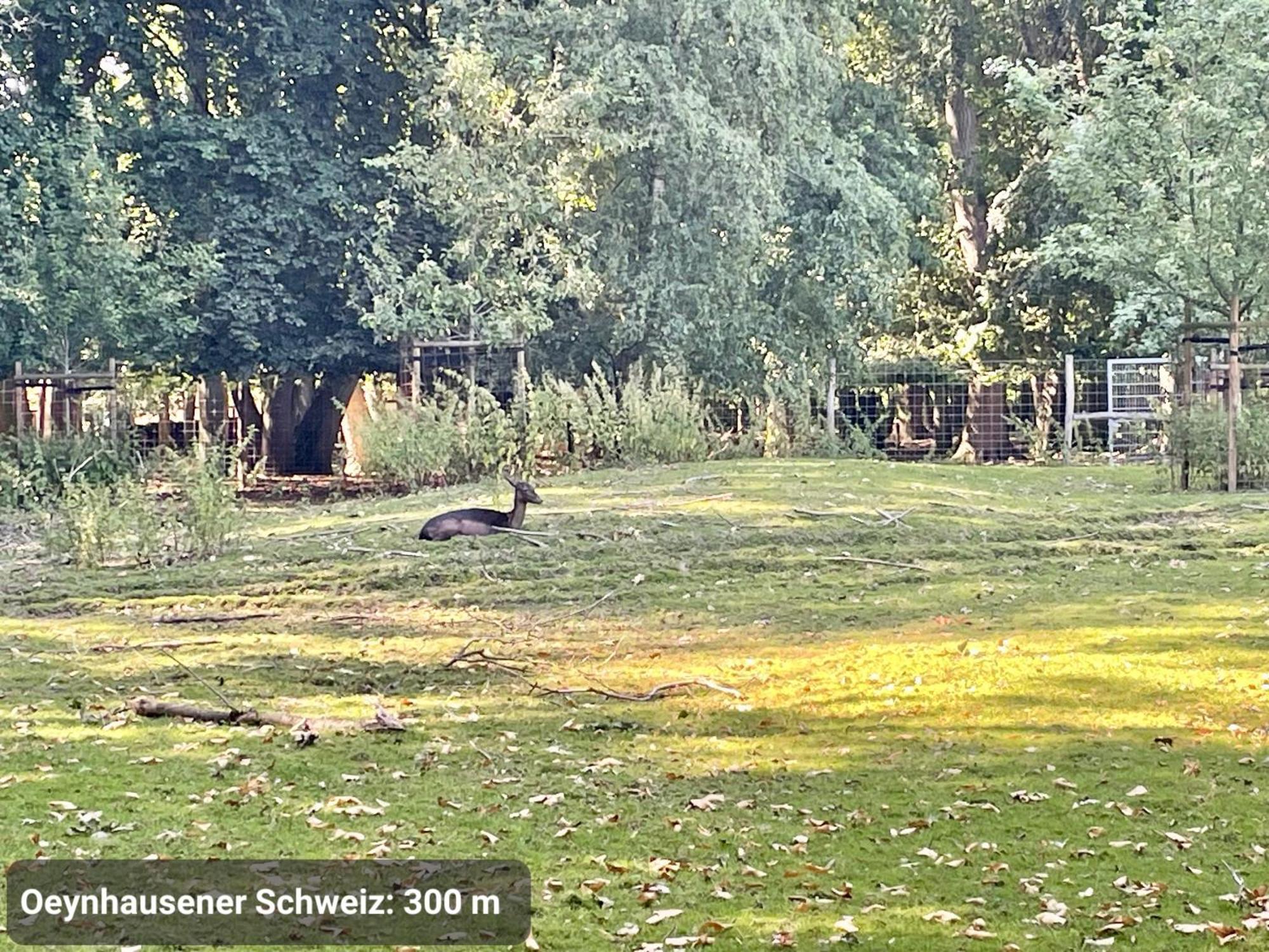 Studio3 Zentral Und Ruhig Mit Parkplatz, 5 Min Z Bali-T Und Gop, Boxspringbett Bad Oeynhausen Exteriér fotografie